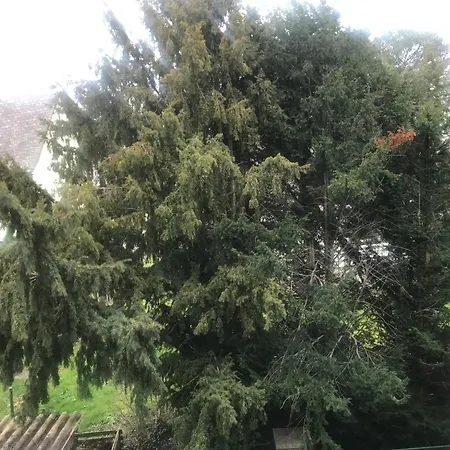 Am Sahnpark Crimmitschau